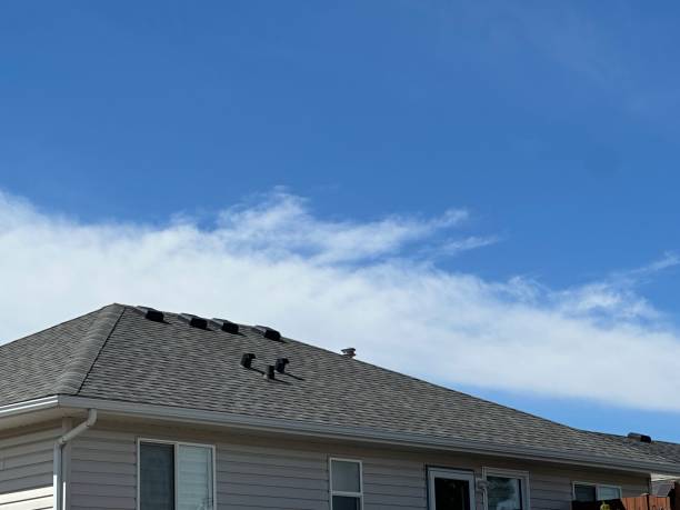 Best Solar Panel Roofing Installation  in Highland, IL